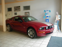 Mustang GT 2010 in unserem Showroom