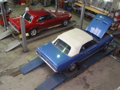 Mustang Modelle 1966 und 1967 in unserer Werkstatt